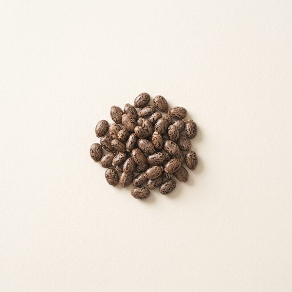Castor oil + beeswax