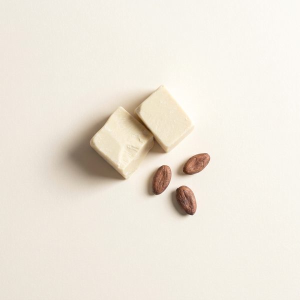 Shea + cocoa butters