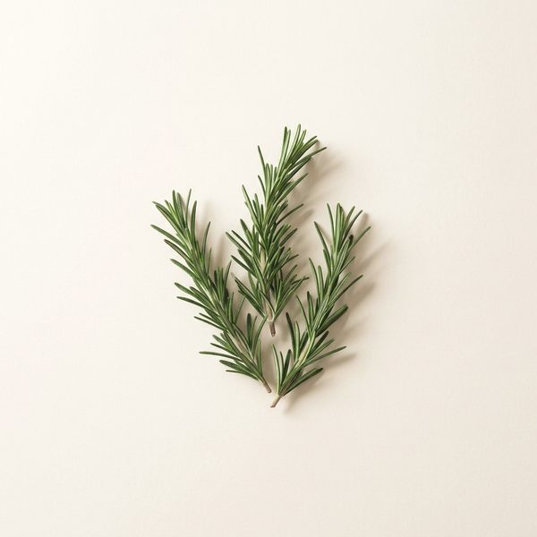 Rosemary + black seed