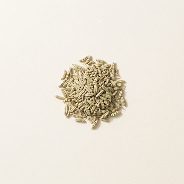 Fennel Seed